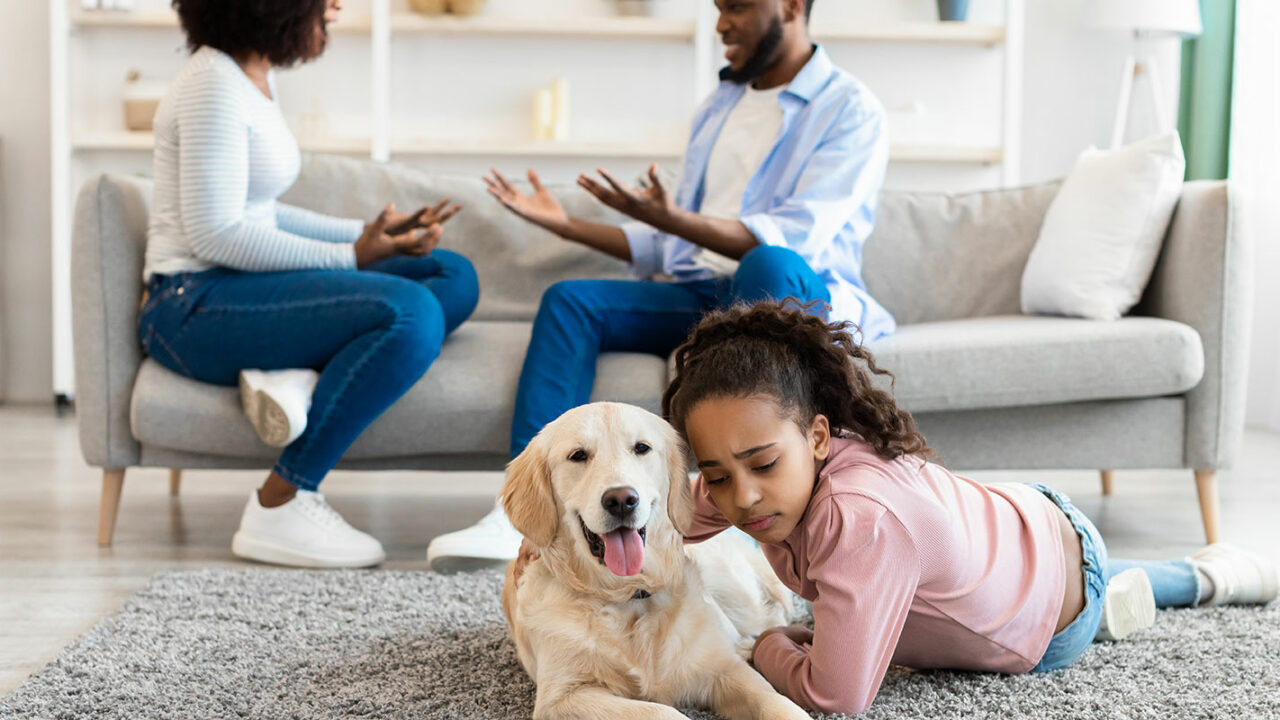 divorced couple fighting over pet