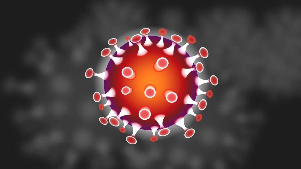 Image of the corona virus