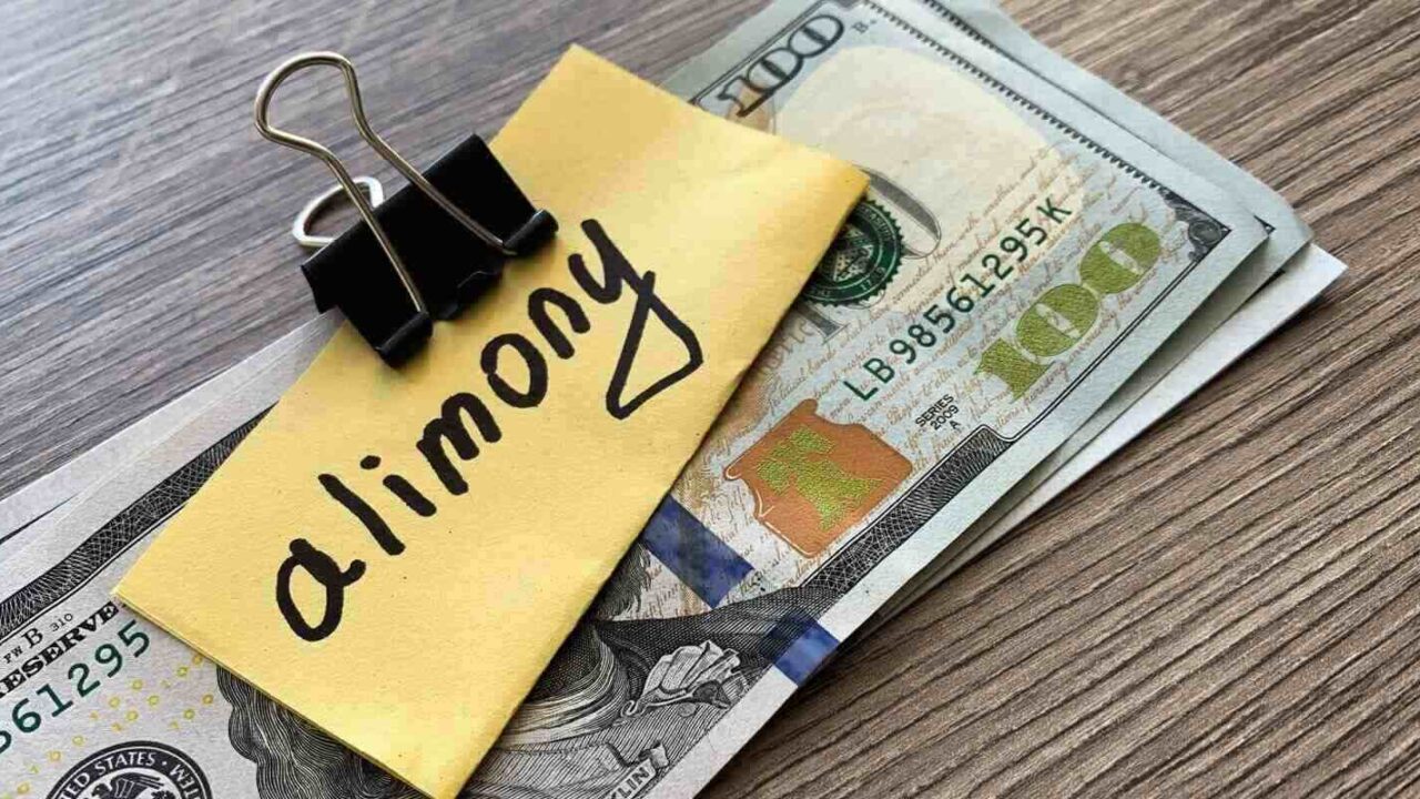 pile dollars with sign alimony and money